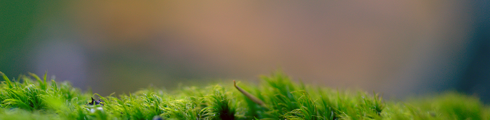 V?lklingen Kleine Mittelstadt