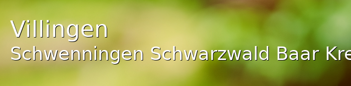 Villingen-Schwenningen Mittelstadt