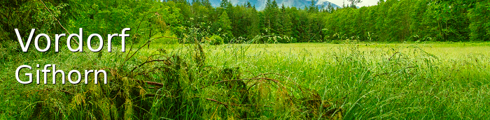Vordorf Landkreis Gifhorn Vordorf Landstadt