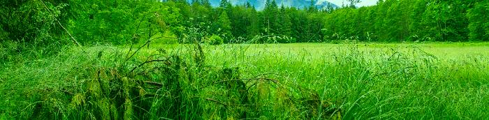 Walddorfh?slach Landkreis Reutlingen Walddorfh?slach Landstadt