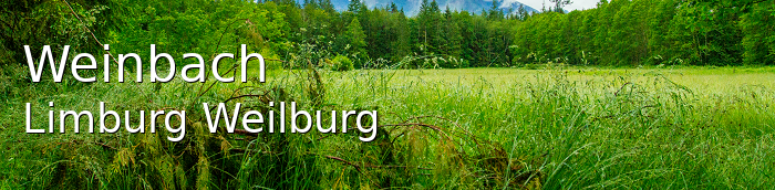 Weinbach Landkreis Limburg-Weilburg Weinbach Landstadt