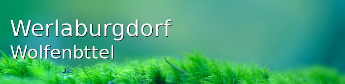 Werlaburgdorf Dorf