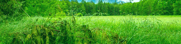 Westergellersen Gro?es Dorf