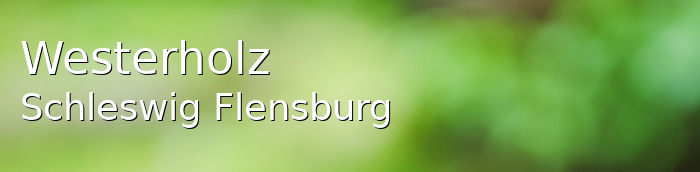 Westerholz Dorf