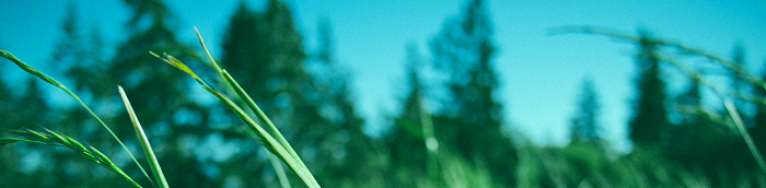 Westerr?nfeld Landstadt