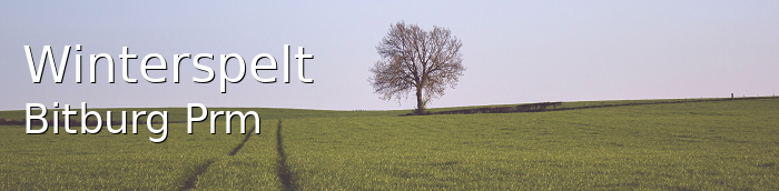 Winterspelt Dorf