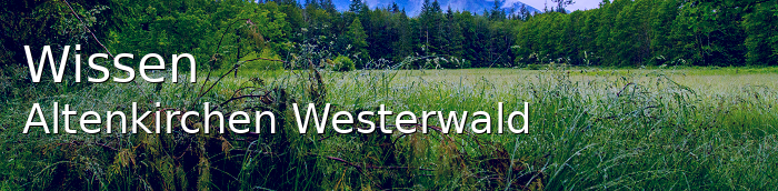 Wissen Landkreis Altenkirchen-Westerwald Wissen Große Landstadt
