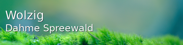 Wolzig Landkreis Dahme-Spreewald Wolzig