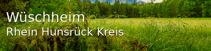 Wüschheim Rhein-Hunsrück-Kreis Wüschheim Kleines Dorf