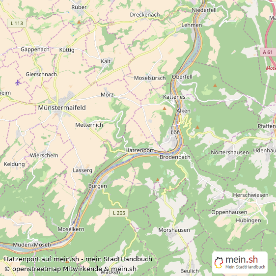 Hatzenport Landkreis Mayen-Koblenz Landkarte © Openstreetmap Contributors Hatzenport Dorf Karte