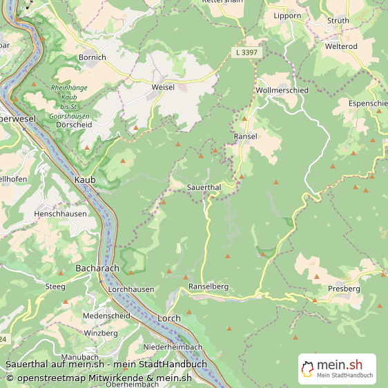Sauerthal Rhein-Lahn-Kreis Landkarte © Openstreetmap Contributors Sauerthal Kleines Dorf Karte