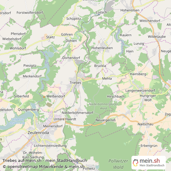 Triebes Landkreis Greiz Landkarte © Openstreetmap Contributors Triebes Karte