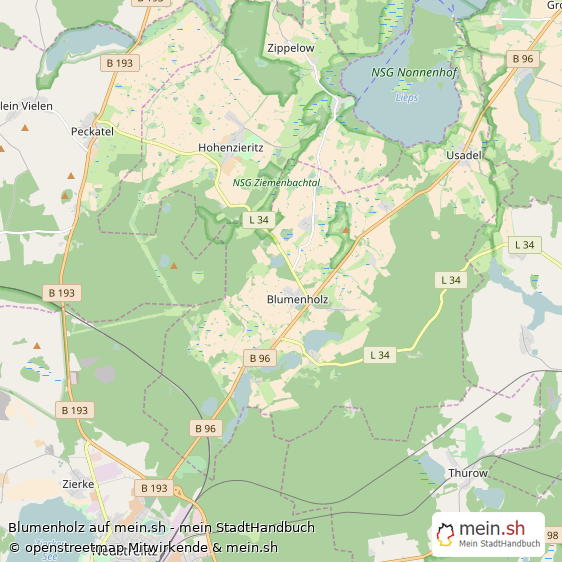 Blumenholz Landkreis Mecklenburg-Strelitz Landkarte © Openstreetmap Contributors Blumenholz Dorf Karte