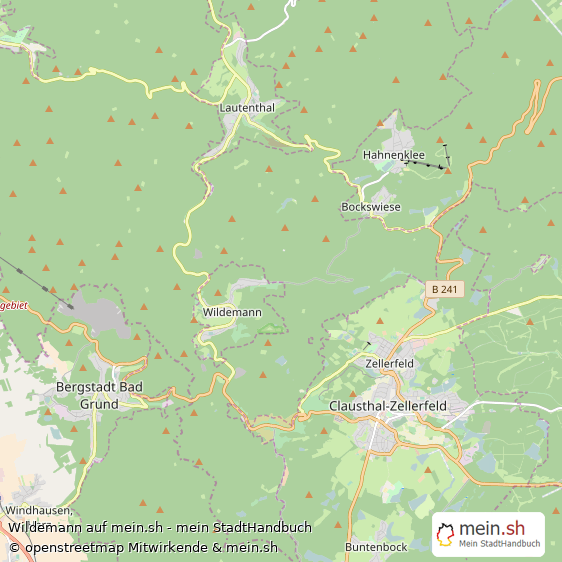 Wildemann Landkreis Goslar Landkarte © Openstreetmap Contributors Wildemann Großes Dorf Karte