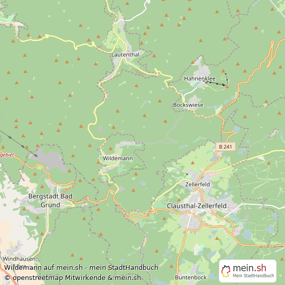 Wildemann Groes Dorf Karte