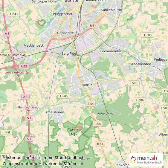 Mnster Kleinstadt Karte